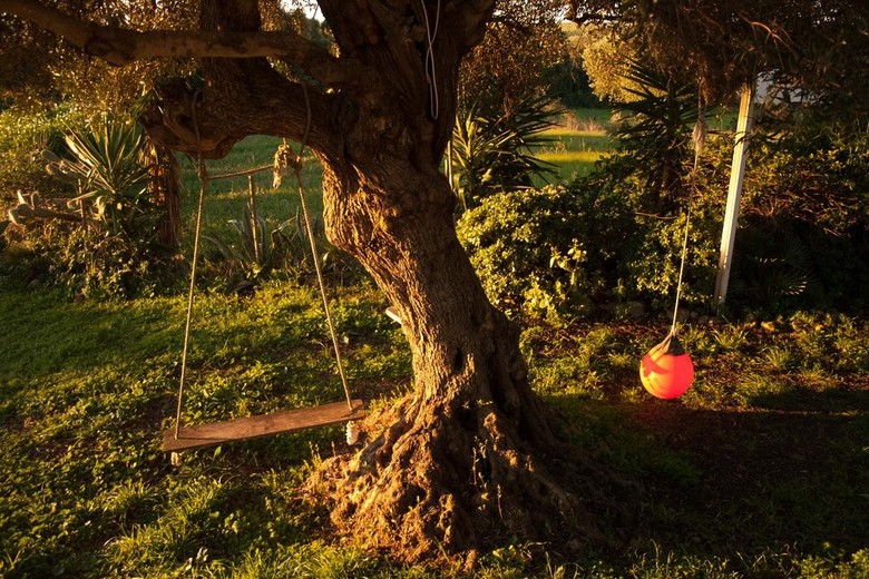 Agroturismo Casa Rural La Zarzamora