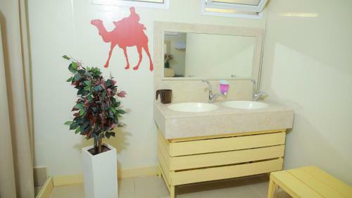 Albergue Negev Camel Ranch