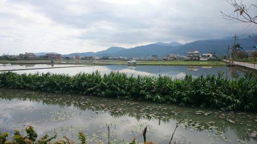 Yilan Real Fun Homestay