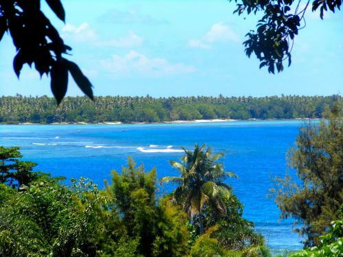 Treetops Lodge