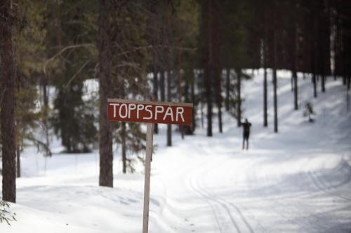 Apartamento Bl�fjell Stugby