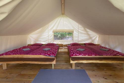 Adrenaline Check Camping