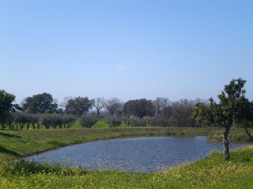 Agroturismo Tapada Da Eira E Chanca