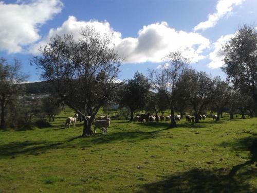Agroturismo Tapada Da Eira E Chanca