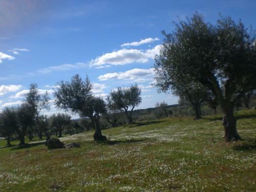 Agroturismo Tapada Da Eira E Chanca