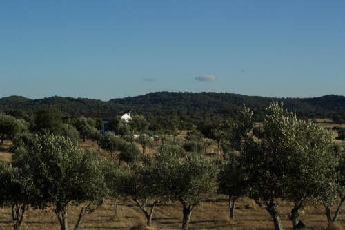 Agroturismo Tapada Da Eira E Chanca