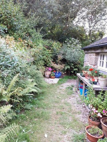 Borea Barn Vegetarian B&B