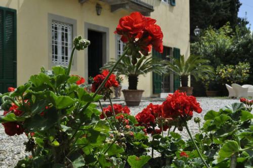 Hostal Villa Pedone