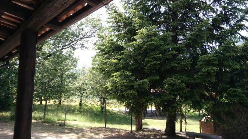 Agroturismo Agriturismo Collevento