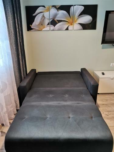 Apartamenty Jaskinia Solna