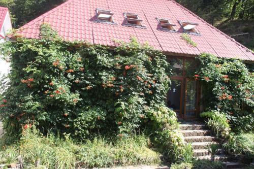 Hostal Kastana Hotel