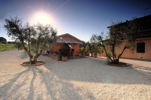 Hostal Cerchio Verde