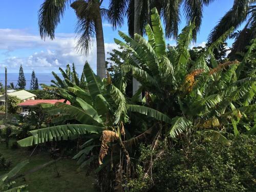 Bed & Breakfast Hotel Honokaa