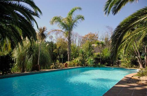 Africa Lodge