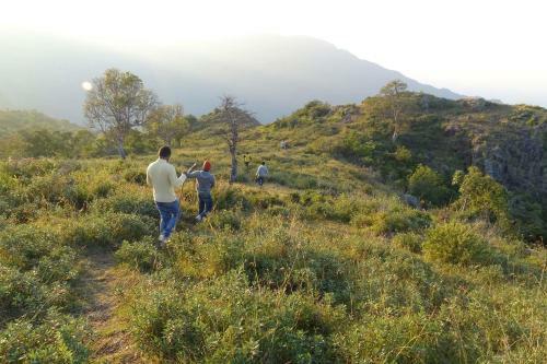 Wild Walkers