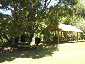 Motel Te Mata Lodge