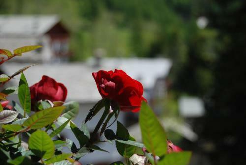 Hostal Residence Larice Bianco