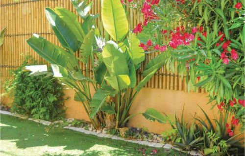 Holiday Home Sanary Sur Mer Mn-1447