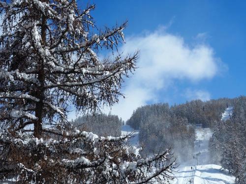 Hotel H�tel Le Monte Pente