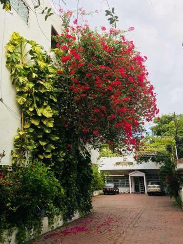 Hotel Pijao