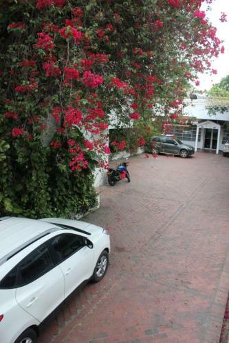 Hotel Pijao