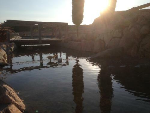 Agroturismo Hospeder�a Rural Los Balcones