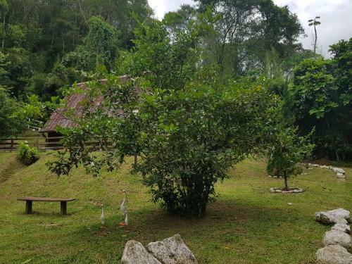 Lodge Chal�s Lumiar