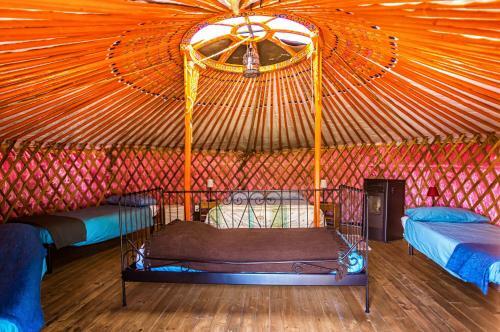 Agroturismo Societ� Agricola Cacigolara