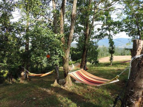 Agroturismo Societ� Agricola Cacigolara