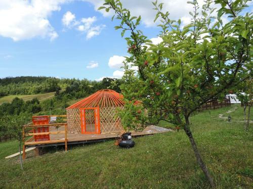 Agroturismo Societ� Agricola Cacigolara