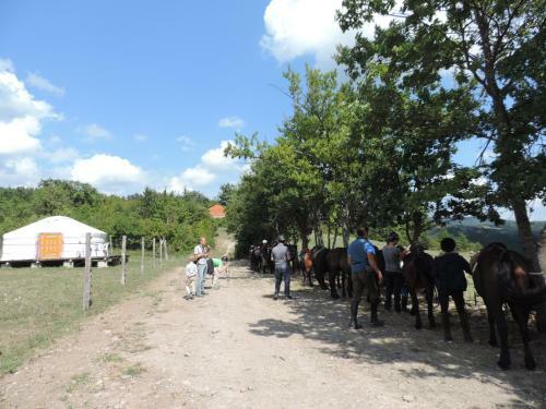Agroturismo Societ� Agricola Cacigolara