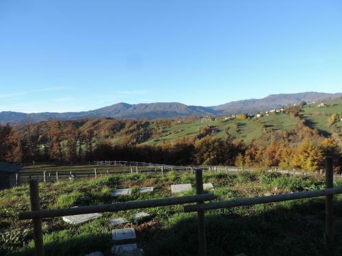 Agroturismo Societ� Agricola Cacigolara
