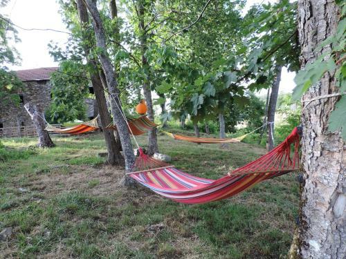 Agroturismo Societ� Agricola Cacigolara