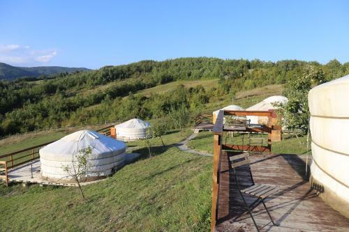 Agroturismo Societ� Agricola Cacigolara
