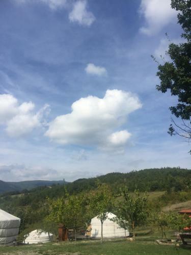 Agroturismo Societ� Agricola Cacigolara