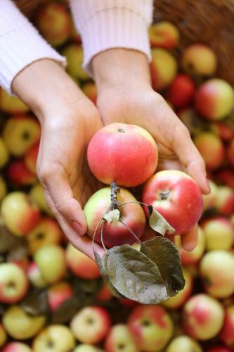Agroturismo Societ� Agricola Cacigolara