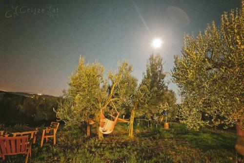 Bed & Breakfast Casale Millesoli
