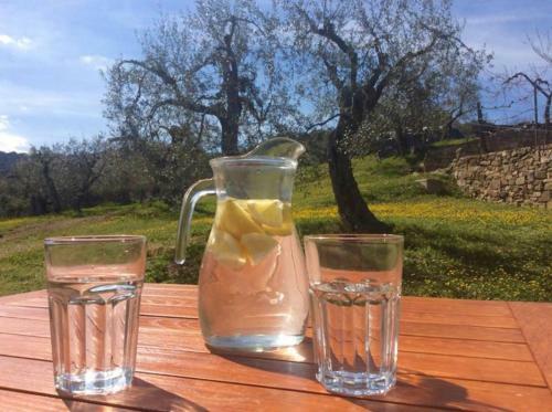 Bed & Breakfast Casale Millesoli
