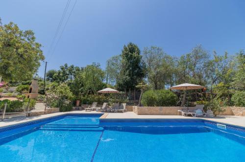 Farm Of Dreams
