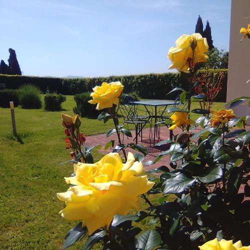 Hostal Villa Brignole