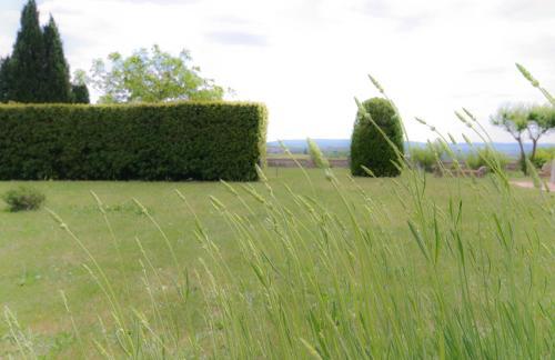 Hostal Villa Brignole