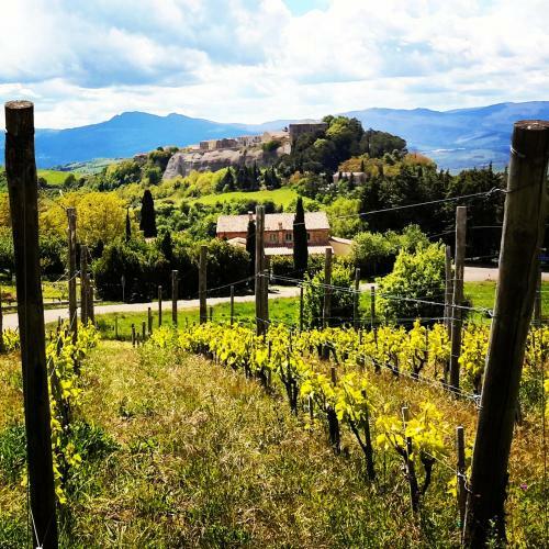 Hostal Podere Orto