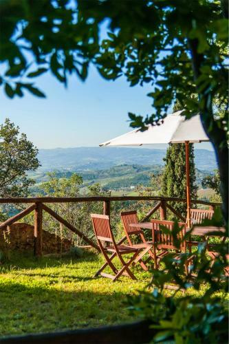 Agroturismo Il Paluffo