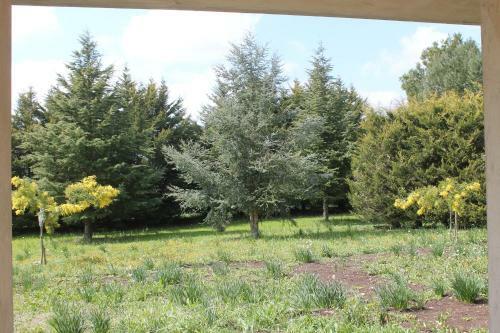 Agroturismo Casa Vacanze La Gebbia