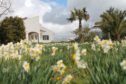 Agroturismo Casa Vacanze La Gebbia