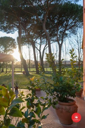 Agroturismo Fattoria Battilana