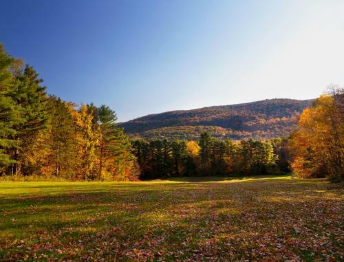 Hotel Eastover Estate And Retreat