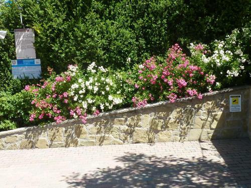 B&B Borgo Casola