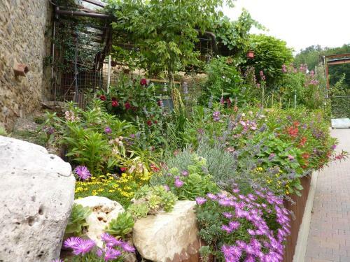 B&B Borgo Casola