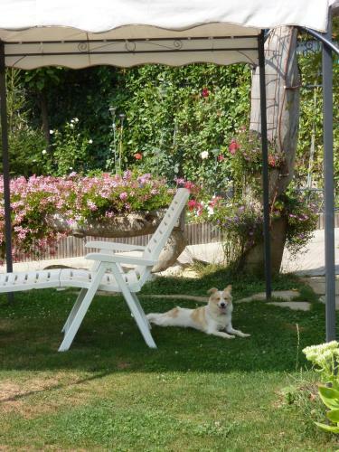 B&B Borgo Casola